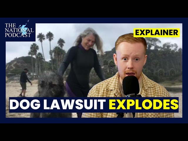 EXPLAINED: The American woman suing a Scottish cafe over her dog