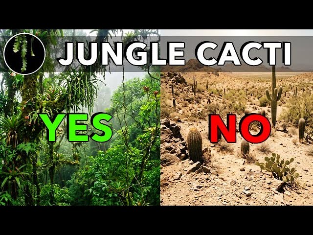 Jungle Cacti Demystified: Watering, Substrates, Pots, Myths, & Misconceptions