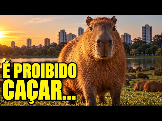Cuidado Com a Capivara do Parque