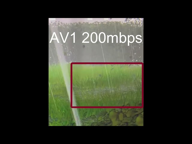 AV1 200mbps vs H264 500mbps (Quest 3 comparison)