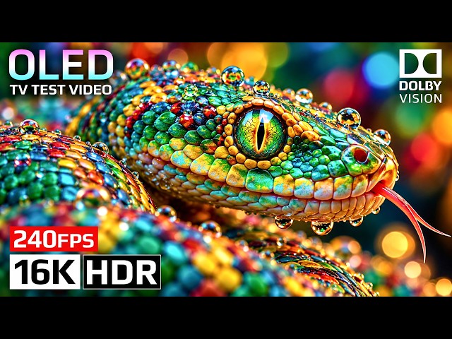 Incredible 8K HDR Dolby Vision 60FPS | Stunning Ultra HD Video (4K • 8K Ultra HD TV)