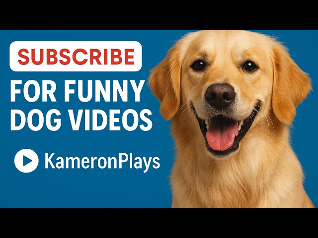500 Sub live stream