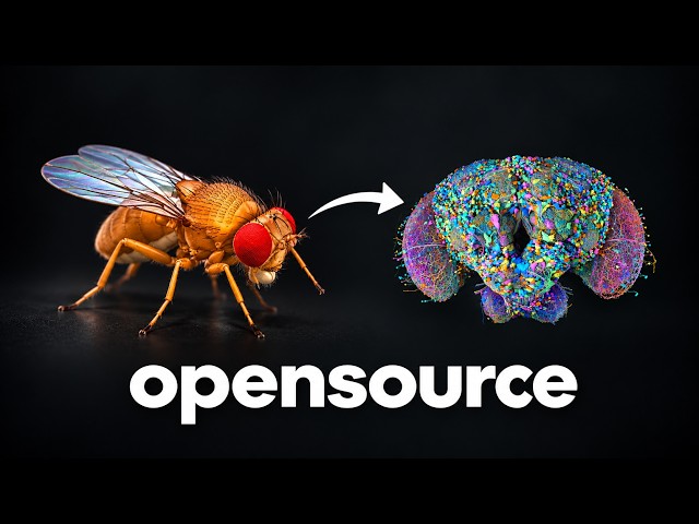 The Internet Is Torturing a Fruit Fly... (opensource brain)