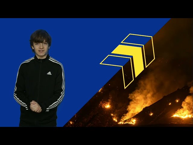 'Tangy Today: LA Wild Fires
