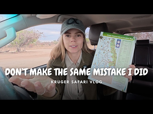 Solo Self-drive Kruger Safari Vlog