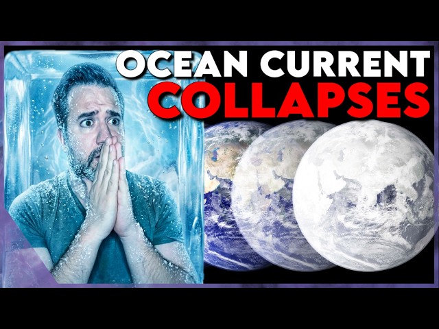 THE ICE AGE IS COMING!🥶 The Gulf Stream has SHIFTED, and scientists are SPEECHLESS!