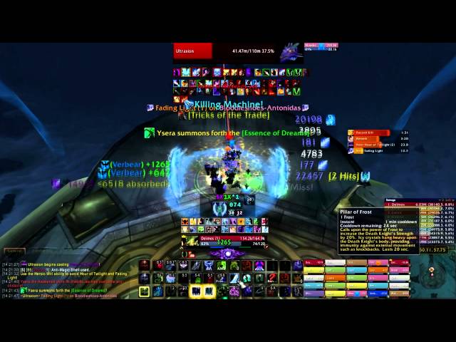 Top 250 Ultraxion LFR Parse