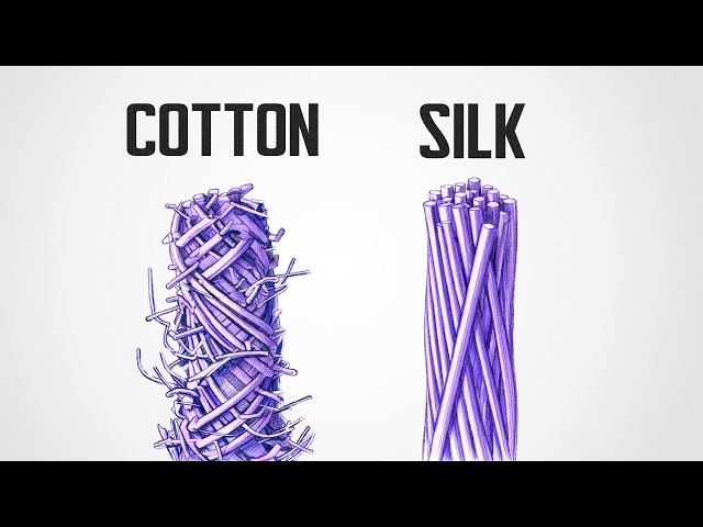 The Crazy Engineering of Silk