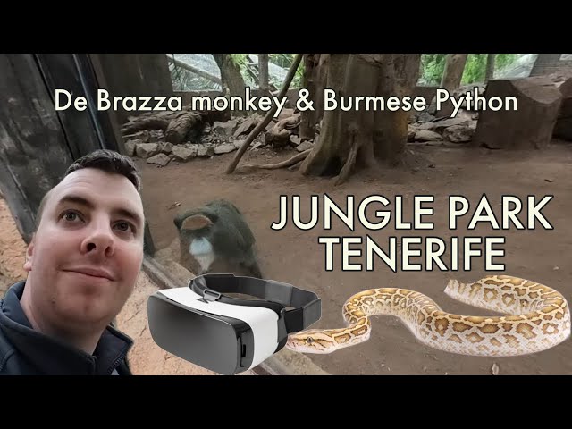 JUNGLE PARK - TENERIFE  | DE BRAZZA MONKEY | BURMESE PYTHON  | 360° walk through #holiday #zoo