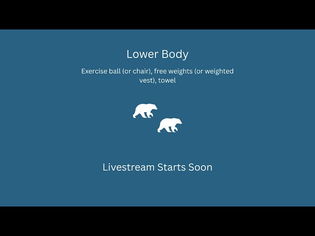 Lower Body Workout