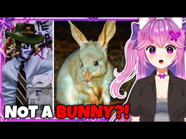 HOW IS THIS REAL... 😱 | VTuber Reacts to MoreParz