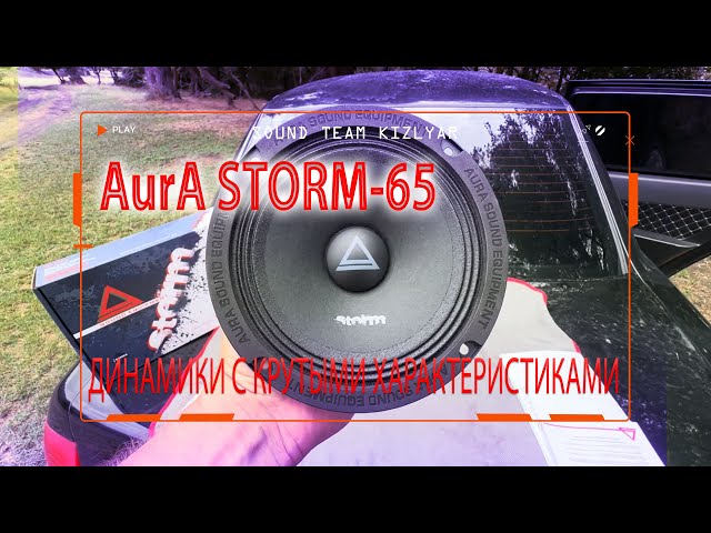 Бюджетные эстрадные динамики с крутыми характеристиками! AurA STORM-65