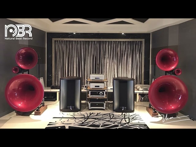 High End Sound Test - Best Voices & Dynamic Sound - Audiophile NBR Music