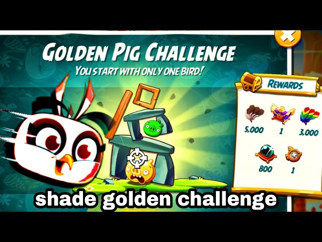 Angry birds 2 golden pig challenge 19 sep 2026 with shade #ab2 golden challenge today