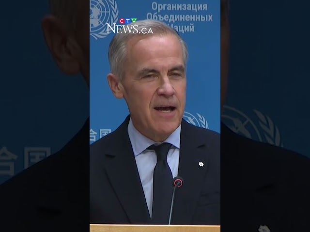 'Canada is a reliable, cost-competitive supplier': PM Carney on Trump's potash remarks