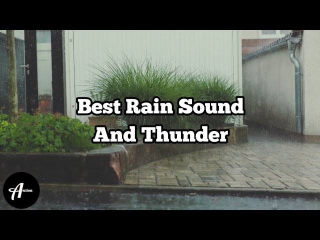 Best Rain and Thunder Sounds | 10min