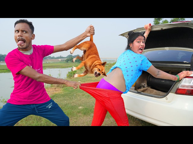2 Ziddi Pregnant Bow Horror New Special Trending Funny Comedy Video 2026 😂 Ep 185 By Fun Tv 420