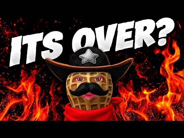 WE made this "Streamer" end stream and QUIT wardogs