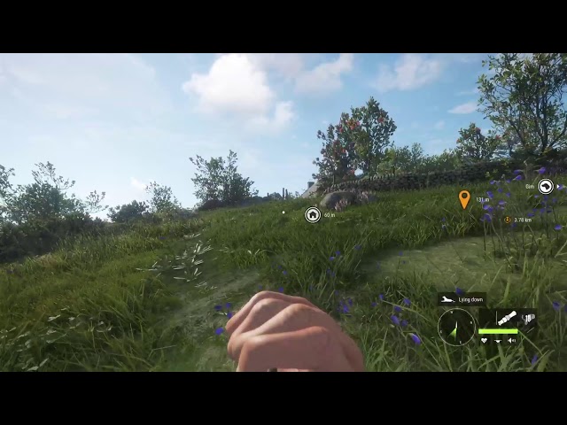 (LIVE) [SCOTTISH] HUNTER CALL OF THE WILD {SOLO}