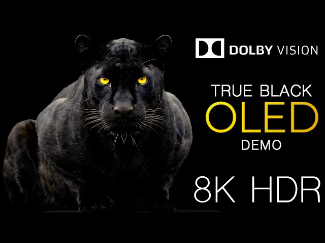 TRUE BLACK 🖤 QD-OLED – MicroLED Demo | 8K Ultra HDR | Dolby Vision™ | 60fps