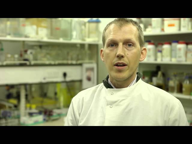 Faculty of Science and Technology 'an introduction to our research'