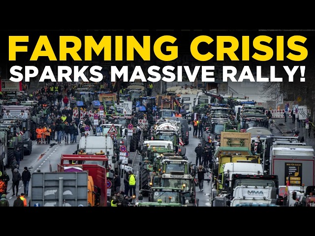 Romania Farmers Protest LIVE: Romania Farmers Rally Over Livestock and Farming Sector Problems