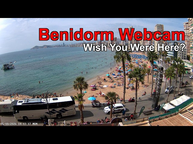 BENIDORM LIVE WEBCAM 🇪🇸 🔴 LIVE: Levante Beach Benidorm Resort Night NOW 🌊🏖️