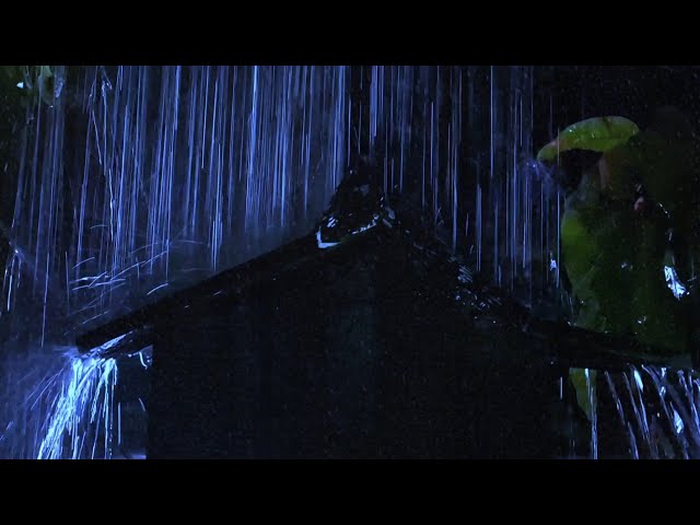 Fall Asleep in 3 Minutes 🌧️ Heavy Rain & Powerful Thunder on a Tin Roof