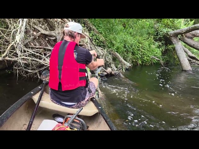 Sawing: A Devil of an Alapahoochee Cleanup 2026-08-29
