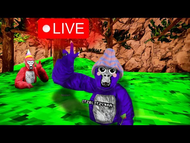 🔴 Itzblitzys live 🔴 (Join Up)