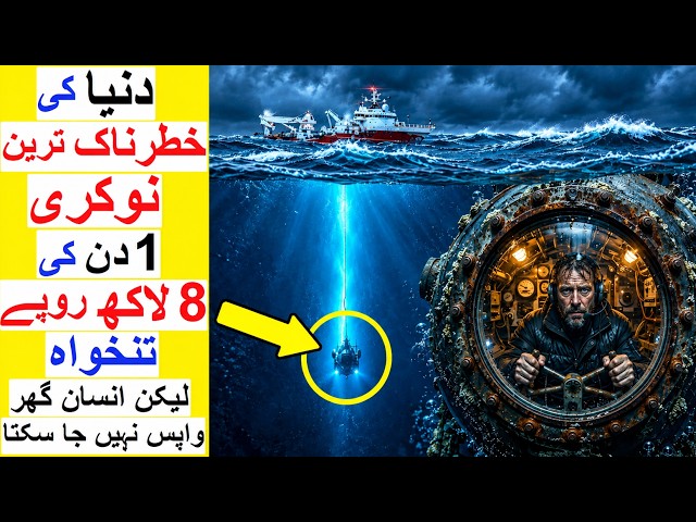 Most Dangerous Job in the World - 8 Lakh rupees per Day