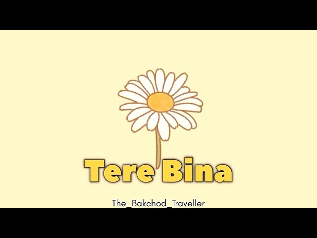 Tere Bina #