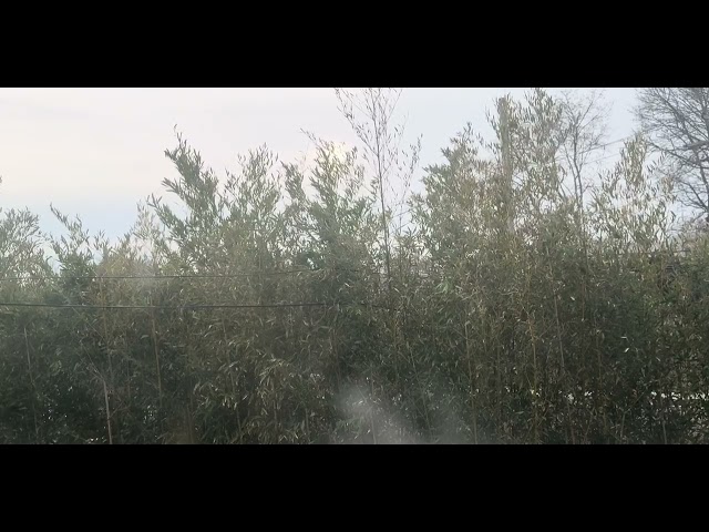 S + V - One Eye Open 