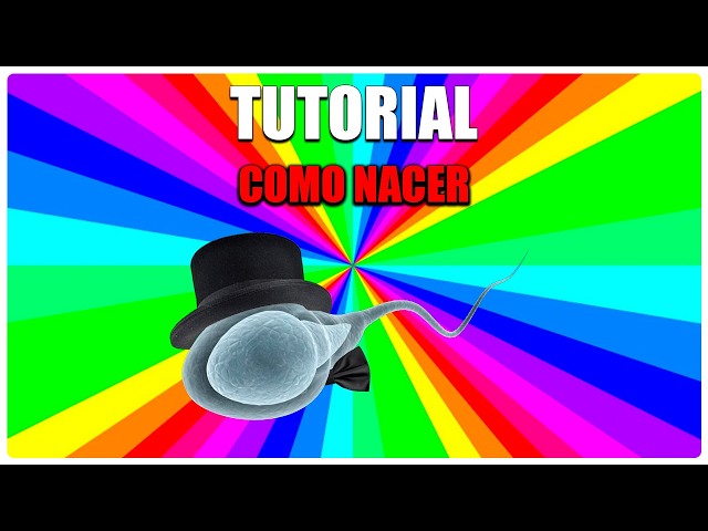 Tutorial: How to be BORN