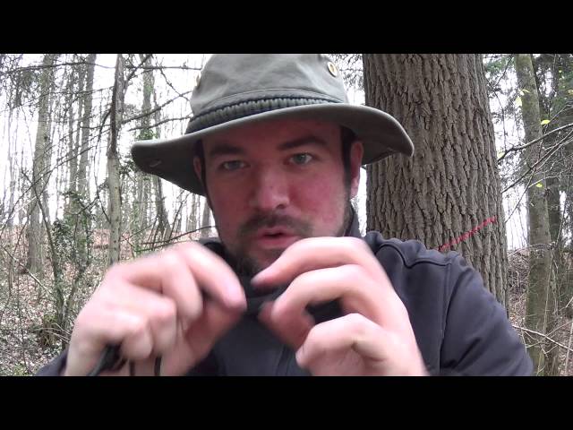 Are hammocks harmful to trees? (Forest Question Time)