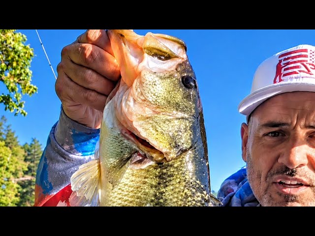 Fish Forever Life is live! #Fishing