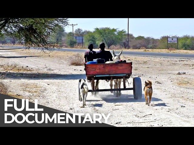 Earth Untold: Botswana | Hidden Tales from the Heart of Southern Africa | Free Documentary