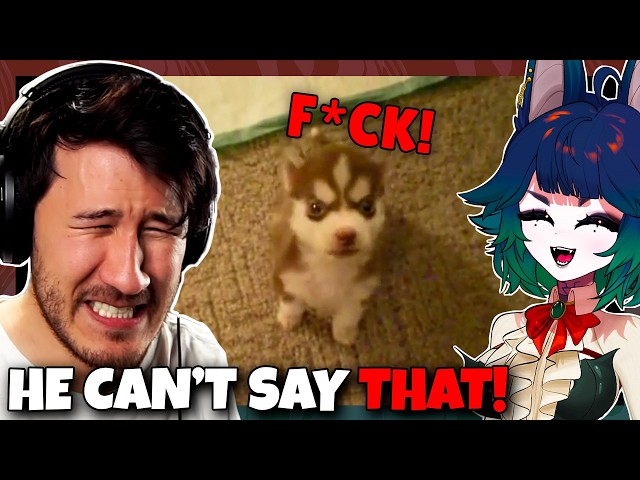 I LOST IT 🤣 | VTuber Reacts to Markiplier Try Not to Laugh Challenge