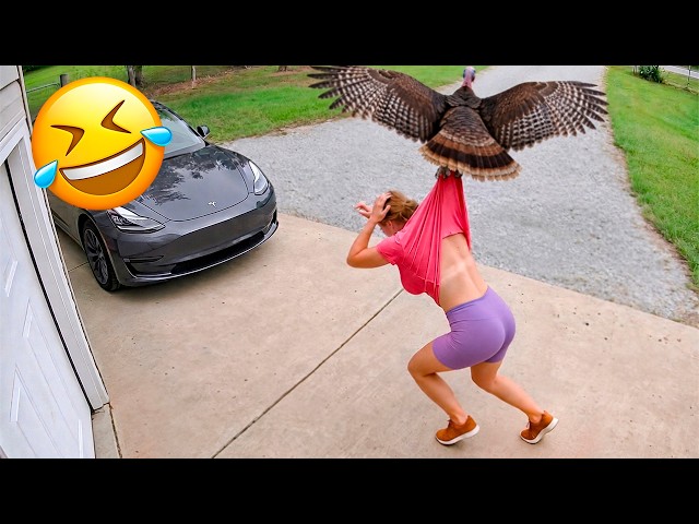 Funniest Animal Videos 2026 😂 Every Clip Gets More Unexpected