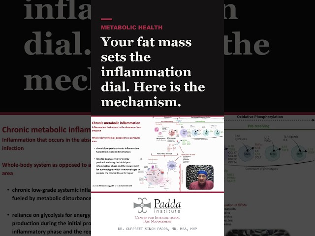 Your fat mass sets the inflammation dial. Here is the mechanism.
