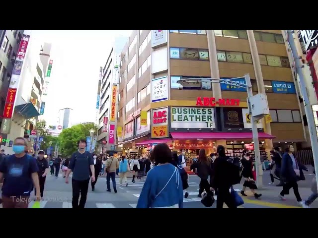 🔴Tokyo Streets 24/7🐶Shinjuku, Shibuya, Ikebukuro, etc.💖