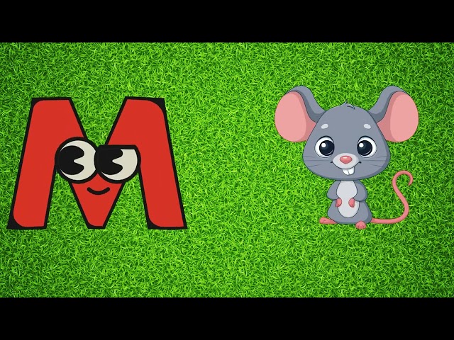 Learn English Alphabet | ABC Song with Everyday Words
