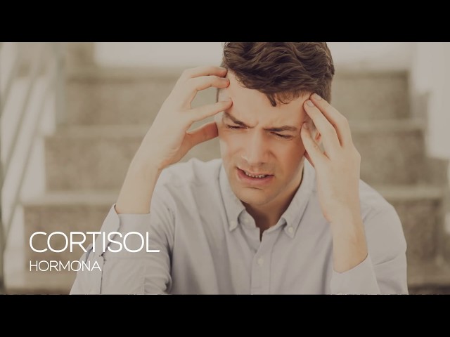 Lecture: The Effects of Screens and Technology on the Brain and Emotions. | "Educating Offline"