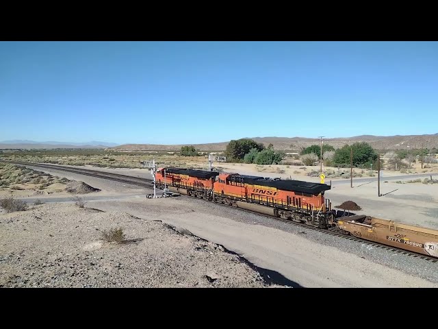 Railfanning Hodge CA! 9-12-2026 #bigbossrailfanner