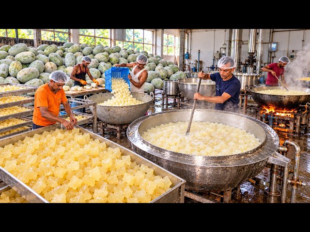 How Petha Is Made in Giant Batches | From Ash Gourd to Sweet