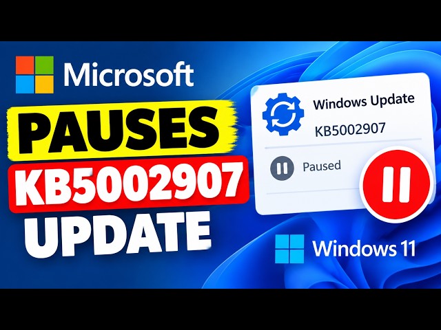 Microsoft Pauses Windows 11 Update After Office Problems