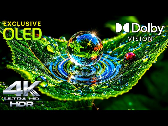 THE ULTIMATE 4K / 8K OLED HDR EXPERIENCE | Dolby Vision & TRUE BLACK 60FPS