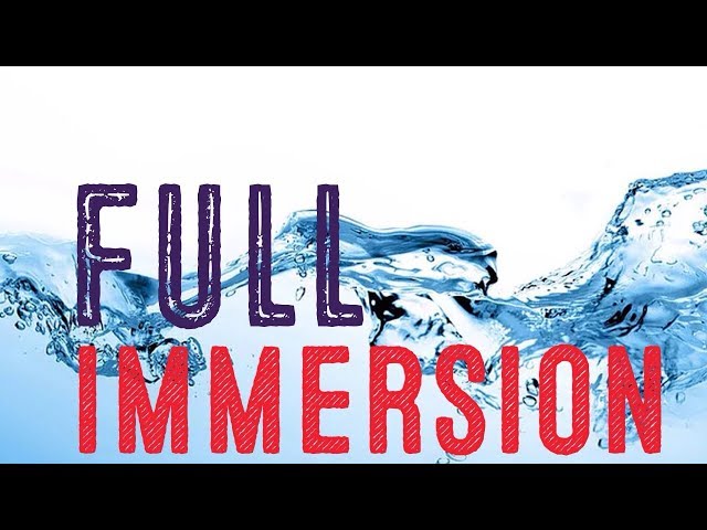 Full Immersion | Holy Ghost | dispensation | today | worship