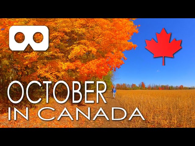 October in Canada: Experience A Spectacular Autumn Day In Canada In Virtual Reality