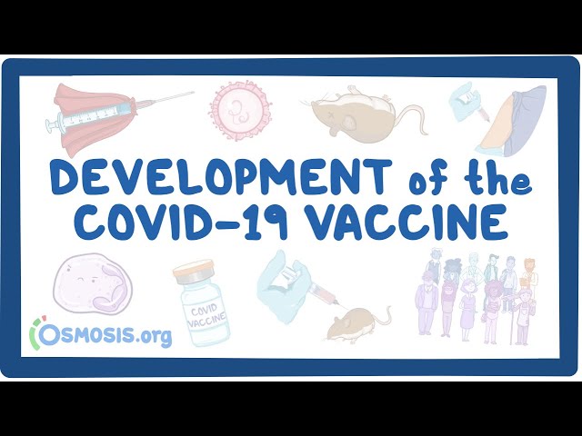 Development of the COVID-19 Vaccine